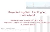 Projecte LingüíStic De Catalunya 2007