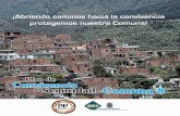 Informe plan de convivencia y seguridad Comuna 8