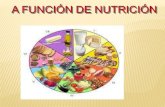 As funcións de nutrición