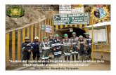 Análisis del currículo de la Facultad de Ingeniería de Minas de la UNCP aplicado al sector minero no metálico