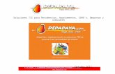 Soluciones Depapaya.com