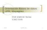 Presentacion Bases De Datos