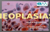 Neoplasias - Anatomía Patológica