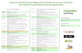 Programa plenaria remedia_2013