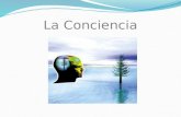 La Conciencia Y Neurociencias (Presentacion)2007