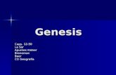 Genesis Varios 12 50 3 Q08
