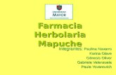 Farmacia Herbolaria Mapuche