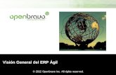 Openbravo Customer presentation