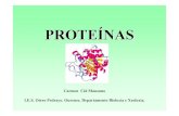 08 proteinas