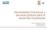 Necesidades financieras y recursos publicos para el desarrollo empresarial