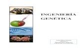 Ingenieria genetica-lucia-obeso-almeida