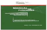 Manual de funciones jefe de sector supervisor director 2008 pdf