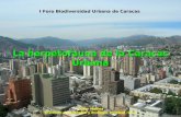 La herpetofauna de la Caracas urbana. César Molina