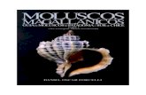Guía de Moluscos (Gasterópodos)