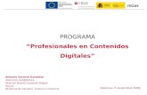 CDV2009 Profesionales Digitales