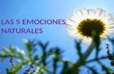 Las 5 emociones naturales