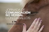 Jornada de Lenguaje No Verbal asistida con Caballos. (Centros Hípicos en toda España)