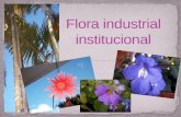 (album virtual) Flora Industrial Institucional