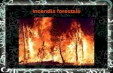 Incendis forestals