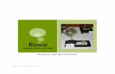 Manejo básico de Bonsai