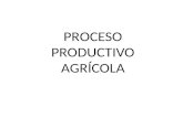 Proceso de producción agrícola y pecuaria