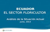 Ecuador: El sector floricultor, un análisis de la situación actual