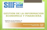 Gestion de la informacion economica y financiera
