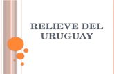 Relieve del uruguay