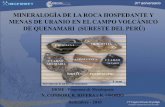 Mineralogia de la roca hospedante y minera de uranio en el campo volcanico de Quenamari