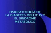 68. FisiopatologíA Diabetes Mellitus Y Sindrome Metabolico