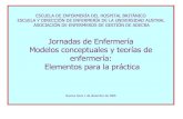Villalobos (2006). Teorias y modelos de enfermeria
