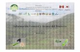 Proyecto Incremento de los Ingresos Económico de los Pequeños Productores Agrarios en la Región de Cajamarca