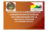 Experiencias campesinas en conservación de suelos en comunicades de la provincia de Tapacari, Cochabamba - Bolivia