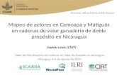 Mapeo de actores en Camoapa y Matiguás en cadenas de valor ganadería de doble propósito en Nicaragua