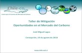 Taller de Mitigación: Oportunidades en el Mercado del Carbono