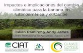 Cambio climatico y bananas en America Latina