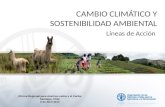 Cambio Climático y Sostenibilidad Ambiental - Líneas de acción