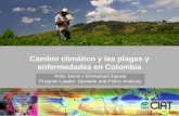 Andy Jarvis Cambio ClimáTico Y Plagas En Colombia