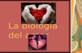 La biología del amor