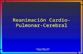 Reanimacion  Cardio  Pulmonar  Cerebral