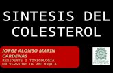 Sintesis Del Colesterol Y Lipoproteinas