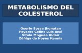 Metabolismo de colesterol LuisjoMD - UNISUCRE