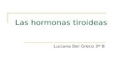 Las hormonas tiroideas