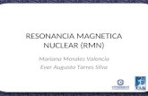 Resonancia Magnetica Nuclear (RMN)