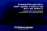 Masificacion del gas natural