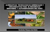 Alternativas tecnologias  gerenciales y organizativas para el desarrollo endogeno y autogestionado del agro