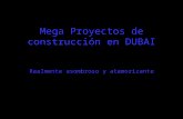 Mega Proyectos de Dubai