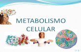 Presentacion metabolismo prof chiarenza
