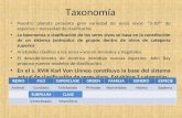074 taxonomia