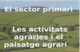 Sector primari ppt(3)